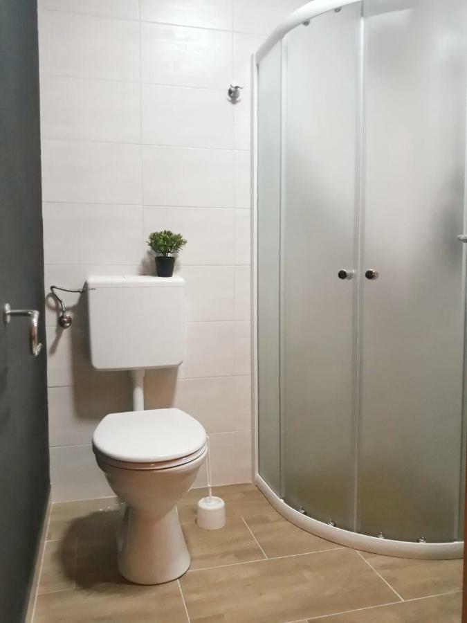 Villa Mihaela - Apartment Ika Цесариця Екстер'єр фото